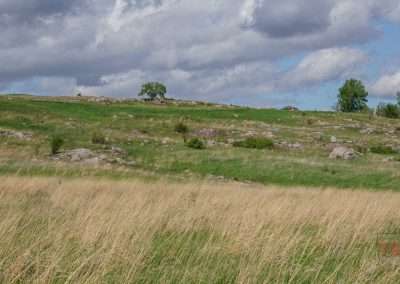 Faraway view of a one-story building on a grassy hill strewn with reddish boulders