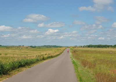 A woman rides her bike on a road in the summer