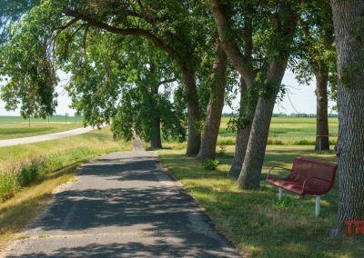 A bench under green trees along a bike trail