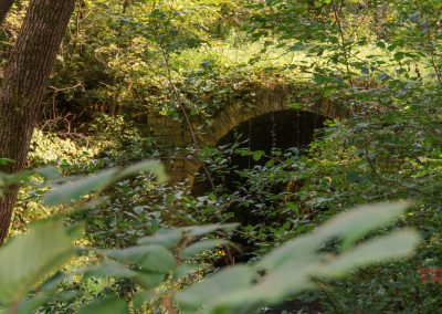 an old stone bridge peeks through the understory of a forest
