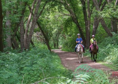 A man and a woman wearing helmets ride horses along a trail in the forest