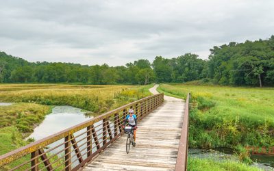 Biking Bluff Country