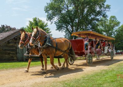 Two draft horses pull a wagon full of people