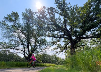 A woman rides her bike on a paved trail past large oak trees
