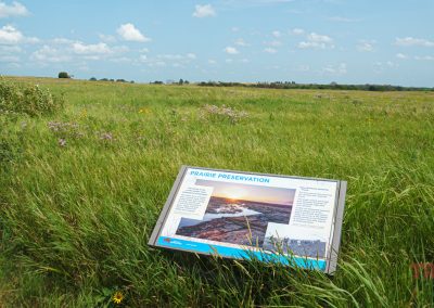 An interpretive sign sits in a prairie filled with green grass and wildflowers
