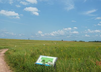 A woman walks along a path through the prairie past an interpretive sign