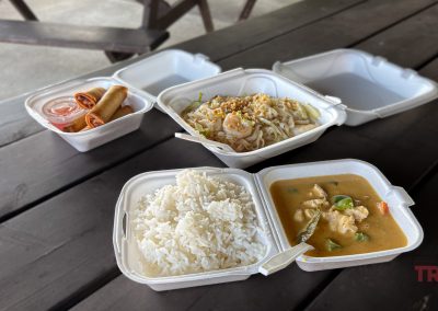 Closeup of takeout containers with rice, curry and egg rolls on a picnic table