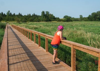 A woman leans on the railing of a wooden bridge across a wetland