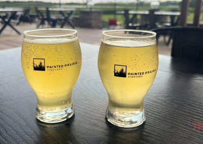 A closeup of two glasses of apple cider on an outdoor table