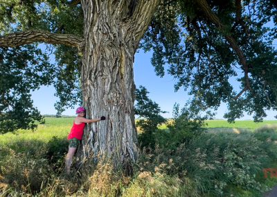 A woman wearing a bike helmet hugs a large cottonwood tree