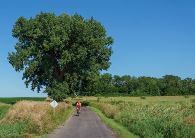 A woman rides her bike on a paved trail through farm fields