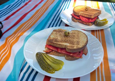 Closeup of two BLTs on a picnic table