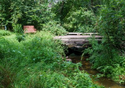 A bench sits near a creek in a forest