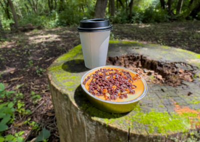 A closeup of a small cheesecake and a to go cup of coffee on a tree stump