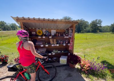 A woman on a bicycle browses a roadside farm stand