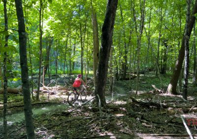 A woman rides a mountain bike through a forest at Kensington Rune Stone Park.