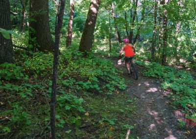 A woman rides a mountain bike through a forest at Kensington Rune Stone Park.