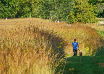 A man walks his leashed dog on a mowed path next to a grassy field at Lake Carlos State Park.