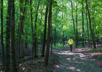 A woman walks through a forest on a dirt path at Lake Carlos State Park.