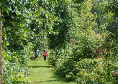 Two people walk along a lush, green forest path at Crow Wing State Park. Sunlight filters through the dense foliage, casting dappled shadows on the grass. A large tree trunk is visible in the foreground on the left.