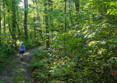 A person with a green cap, blue tank top, and black shorts walks along a dirt path in a lush, green forest at Pillsbury State Forest. Sunlight filters through the dense canopy of trees. Ferns and undergrowth line the trail.