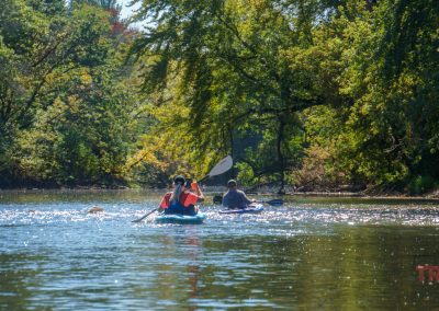 Two people kayaking on a calm river surrounded by lush green trees in bright sunlight. The water reflects the vibrant foliage, creating a serene outdoor scene. One kayaker wears a bright orange vest.