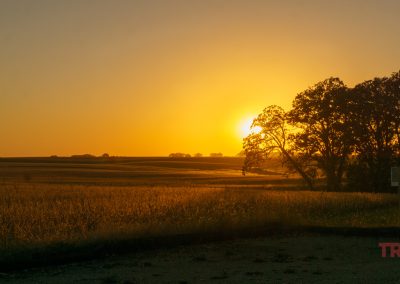 Sun setting over a rural landscape with fields and distant trees. The sky is a warm orange and yellow, casting a golden glow on the scenery. A silhouette of trees is visible on the right. TRAILS is written in red in the bottom right corner.