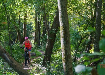 A person wearing a red tank top and helmet rides a mountain bike through a lush, green forest trail. The path winds between tall trees, and sunlight filters through the leaves, creating a serene atmosphere.