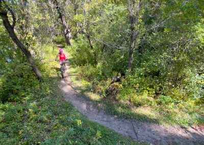 A person wearing a red shirt and helmet rides a bicycle on a narrow dirt trail through a lush, green forest on a sunny day. The path winds between dense trees and vegetation, creating a serene, natural setting.