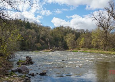 A river flows gently through a forested area in Ramsey Park/Cansayapi, in Redwood Falls, Minnesota, with leafing trees under a partly cloudy blue sky. Rocks and tree stumps line the riverbank.