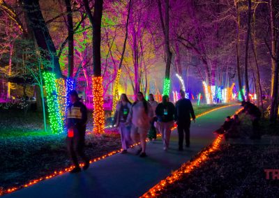 A group of people walk along a paved path at Ramsey Park/Cansayapi during the NightFalls event in Minnesota, with colorful, glowing lights wrapped around trees and vivid purples, greens, and oranges illuminating the wooded scene at night.