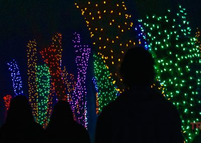 Silhouettes of people walking past trees wrapped in colorful holiday lights—red, orange, purple, blue, and green—at night during the NightFalls event at Ramsey Park/Cansayapi in Redwood Falls.