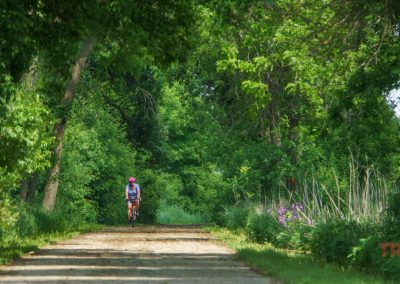 A person wearing a helmet rides a bicycle down the sunlit Casey Jones Trail, surrounded by lush green foliage and wildflowers.