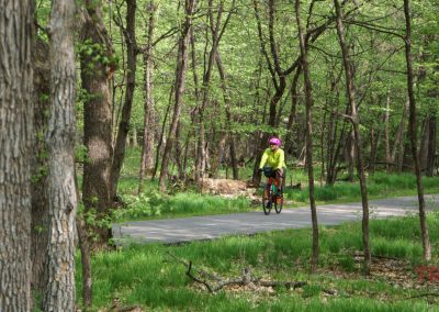 A person wearing a bright jacket and pink helmet rides a bicycle on the Glendalough Trail, a paved path winding through the lush, green forest and tall trees of Glendalough State Park with vibrant spring foliage.