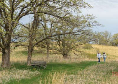 Two people walk along a grassy path under large trees in a field at Glendalough State Park. A wooden bench sits nearby, surrounded by tall grass. The sky is partly cloudy, adding to the peaceful, natural landscape.