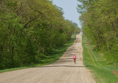A person wearing a pink shirt rides a bicycle down a long, straight gravel road lined with green trees on both sides under a clear sky.
