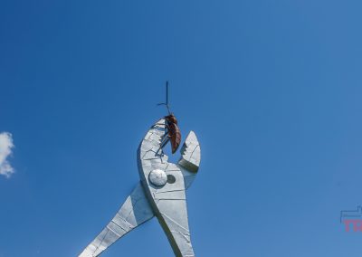 A large silver Nyberg Sculpture of pliers holding a metal cockroach stands against the clear blue MN sky in Vining. A small cloud drifts on the left.