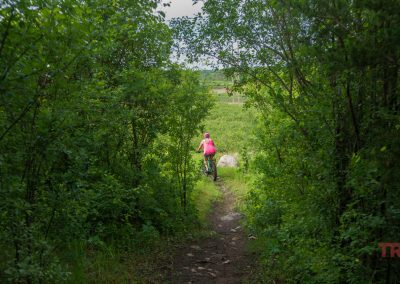 A person wearing a pink shirt rides a bicycle on a narrow dirt trail surrounded by lush green trees and bushes, heading toward an open field.