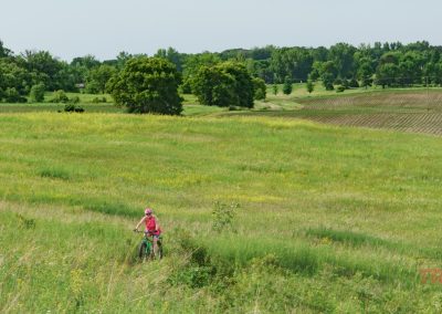 A person wearing a pink shirt and helmet rides a bike along a grassy trail in a wide, open field with green trees and farmland in the background under a clear sky.