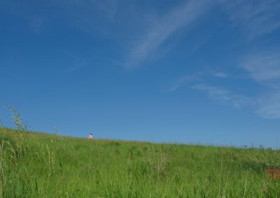 A vast green grassy hill under a bright blue sky with wispy clouds, with a small figure in a pink shirt standing alone near the horizon.