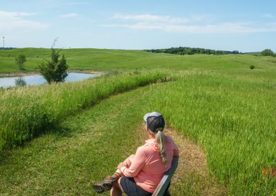 A woman sitting on a bench in a grassy field.