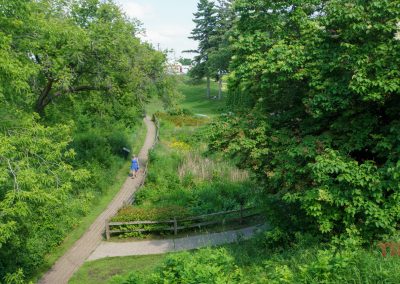 A person walks along a winding path surrounded by lush green trees and plants in a park on a sunny day. A wooden fence borders part of the path.