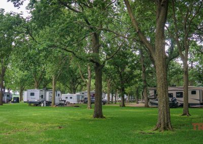 RVs and campers are parked among tall trees in a grassy, wooded campground. Picnic tables and outdoor equipment are visible, creating a peaceful, natural setting.
