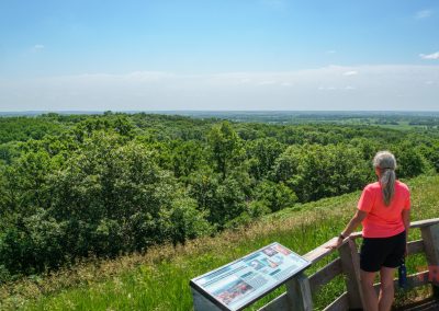 A person with gray hair in a ponytail, wearing a bright pink shirt, stands at a scenic overlook with an informational sign, gazing at a vast, green landscape of trees and fields under a blue sky.