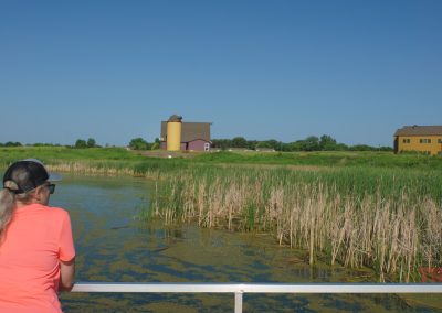 A woman in a pink shirt and black cap looks out over a marsh with tall grass and algae, facing distant buildings under a clear blue sky.