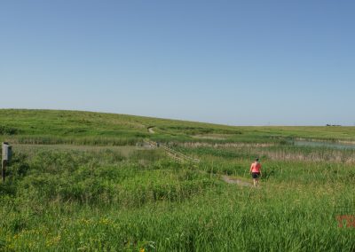 A person in a red shirt walks on a narrow trail through tall green grass towards a wooden bridge over a wetland, with rolling grassy hills and blue sky in the background.