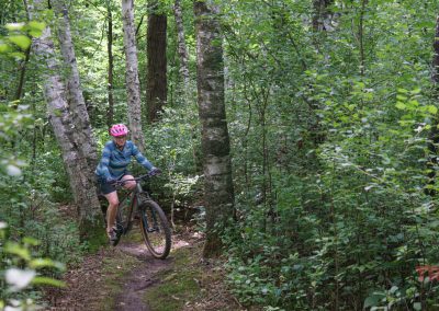 A person wearing a pink helmet and blue clothing rides a mountain bike on a narrow dirt trail through a dense, green forest with birch trees.