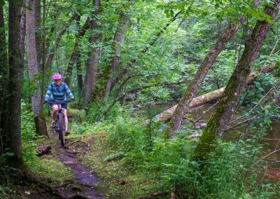 A person wearing a pink helmet and blue clothing rides a mountain bike on a narrow dirt trail through a lush, green forest beside a calm, brown stream.