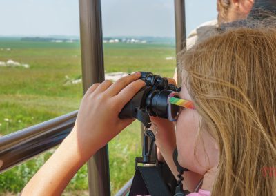 A young child with light brown hair and rainbow sunglasses uses binoculars to look out over a grassy landscape from behind a metal railing, with open fields visible in the background.