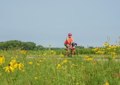A person wearing a pink helmet and orange shirt rides a bicycle on a paved path through a green field dotted with yellow wildflowers under a clear sky.